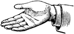 This diagram shows a hand gesture that represents a simple affirmation.
