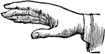 This diagram shows a hand gesture that represents a emphatic declaration.