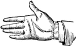 This diagram shows a hand gesture that represents an energetic appeal.