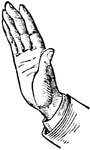 This diagram shows a hand gesture that represents negation or denial.