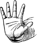 This diagram shows a hand gesture that represents violent repulsion.