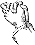 This diagram shows a hand gesture that represents an earnest entreaty.