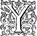 21 variations of the letter "Y"
