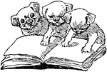 Three puppies looking at a book.