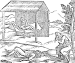 An image of people curing the sick in Hispaniola, during Columbus' exploration there.
