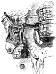 A donkey carrying a travelers belongings.