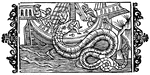 The Sea of Darkness from <em>Olaus Magnus</em>.