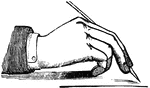 The hand elevated upon the two lower fingers, with the pen placed in correct position for writing.