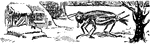 A scene from the story, "The Ant and the Cricket."