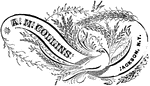A curved filigree banner with a bird.