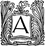 Capital letter A with a floral decoration.