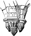 "In architecture, this term, adhering originally to its etymological meaning, signified an ornament in the form of a baske, like those sometimes set on the heads of carvatides. In Gothic architecture, to which it is now almost peculiar, it is applied to any kind of ornamented projection used for supporting pillars or other superincumbent weights." &mdash; Chambers, 1881