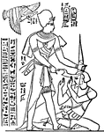 An Egyptian pharaoh of the ninteenth dynasty.