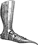 A long pointed shoe worn in the fourteenth century.