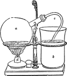 "This coffee apparatus consists of a glass globe a, an infusing jar b, of glass or porcelain and a bent tube c of block tin or German silver fitted by a cork stopper into the neck of the globe and passing to the bottom of the jar, where it ends in a finely perforated disc. The apparatus also requires a spirit lamp d or other means of communicating a certain amount of heat to the globe. The coffee is infused with boiling water in the jar, and a small quantity of boiling water is also placed in the globe. The tube is then fitted in, and the spirit lamp is lighted under the globe. The steam generated expels the air from the globe, and it bubbles up through the jar. When the bubbles of air cease to appear almost the whole of the air will have been ejected, and on withdrawing the lamp the steam in the globe condenses, creating a vacuum, to fill up which the infused coffee rushes up through the metal tube, being at the same time filtered by the accumulated coffee grounds around the perforated disc." &mdash; Encyclopedia Britanica, 1893
