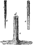 "Cleft-grafting is another method in common use. The stock a is cleft down from the horizontal cut d, and the scion, when cut to a thin wedge form, as shown at c and e, is inserted into the cleft; the whole is then bound up and clayed as in the former case. This is not so goood a plan as wip-grafting; it is improved by sloping the stock on one side to the size of the graft." &mdash; Encyclopedia Britannica, 1893