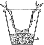 "A special contrivance for a cutting pot was brought into notice many years ago by Mr. A. Forsyth. A smaller pot was put into a larger one, the hole at the bottom being closed with clay a; the bottom of the outer pot is filled with crocks b, so that the small pot is brought up to the level of the larger one; and the space between the two pots c is filled with propagating soil, the cuttings being so planted that their ends rest against the sides of the inner pot, which is then filled with water, and this passing slowly through the sides of the pots, just keeps the soil moistened." &mdash; Encyclopedia Britannica, 1893