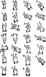 The one-handed sign language alphabet.
