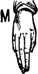One-handed Sign for M.