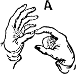 Two-handed Sign for A.