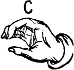 Two-handed Sign for C.