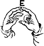Two-handed Sign for E.