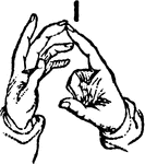 Two-handed Sign for I.