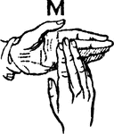 Two-handed Sign for M.