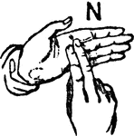 Two-handed Sign for N.