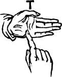 Two-handed Sign for T.