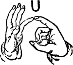 Two-handed Sign for U.