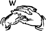 Two-handed Sign for W.