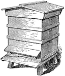 "Exterior, W.B.C. Hive." &mdash; The Encyclopedia Britannica, 1910