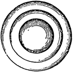 "Differential Lens.—Horizontal divergence may be obtained to any required amount by varying the radius of curvature of the inner face of an annular lens. The outer face is the same as that of an ordinary annular lens, which the other face, though straight in the vertical, is ground to the required curve in the horizontal plane. The rays f'fc falling upon the lens x converge to the vertical focal plane ff and afterwards diverge through the smaller horizontal angle x'f'x', and so for any other case." —The Encyclopedia Britannica, 1910