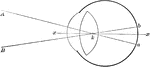 "Diagrammatic section through the eyeball. xx, optic axis; k, nodal point." &mdash;Martin, 1917