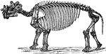 "Restoration of Dinoceras Mirabile." &mdash;The Encyclopedia Britannica, 1903