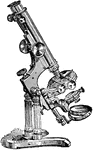 "Ross's Jackson-Zentmayer Compound Microscope." &mdash;The Encyclopedia Britannica, 1903