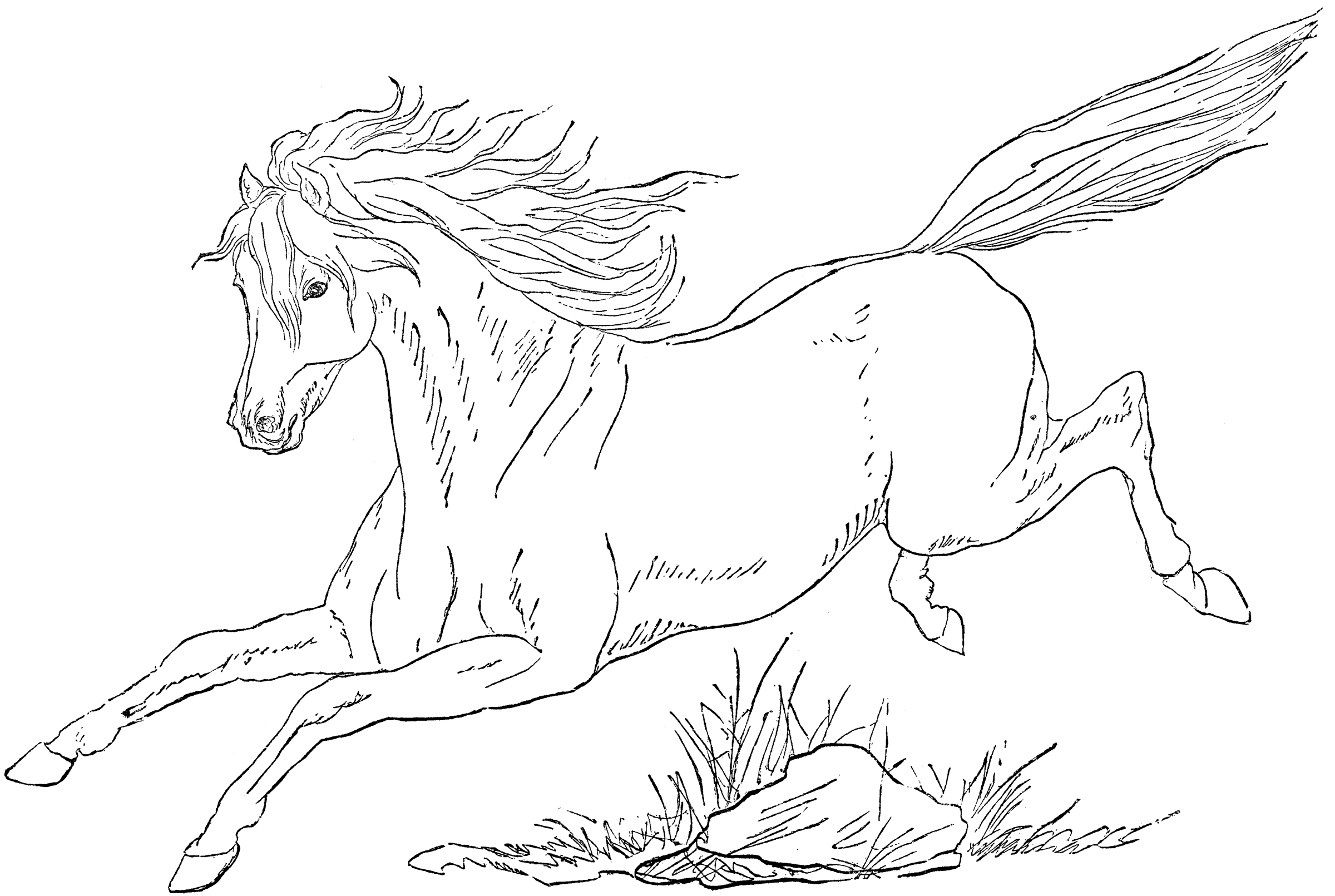 Бегущая лошадь раскраска