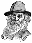 (1819-1892) American poet. Author of <I>Leaves of Grass.</em>