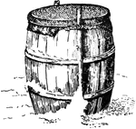 Protecting plants with a barrel