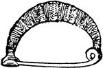 A turned-up and elongated catch-plate in a leech fibula form