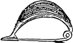 A turned-up and elongated catch-plate in a boat fibula form