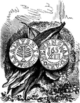 The pine-tree shilling, an early form of currency in colonial America.