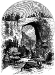 Natural Bridge in Rockbridge County, Virginia is a geological formation in which Cedar Creek has carved a gorge of the limestone forming an arch 215 ft high with a span of 90 ft.