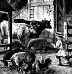 A child in a barn with animals.