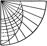 A logarithmic spiral.