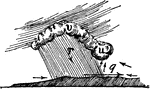 "The warmer current ascends, as indicated by the small arrows, and curls at the black wreath (u) of cloud, and then the commingling of the two currents forms an imposing dark dome (v) of cloud, from which heavy rain (r) or hail descends. The light grayish cloud which is seen behind the black wreath is the rain descending from the dark dome. The heavy raindrops bring down a large quantity of cold air, which flies straight out in advance of the storm, and produces the squall (q) indicated by the long arrow."&mdash;Finley, 1917