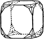 The combination of an icositetrahedron and a cube.
