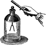 "Gold leaf electroscope; it consists of two strips of gold foil suspended from a brass rod within a glass jar. Used to detect the presence and sign of an electric charge." -Hawkins, 1917