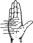 "The palm rule for direction of induced current: If the palm of the right hand be held against the direction of the lines of force, the thumb in the direction of the motion, then the fingers will point in the direction of the induced current." -Hawkins, 1917
